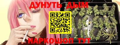 дурь Заводоуковск