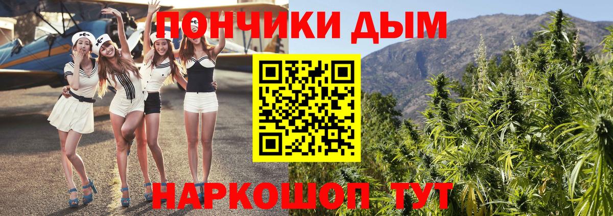 Конопля план Междуреченск